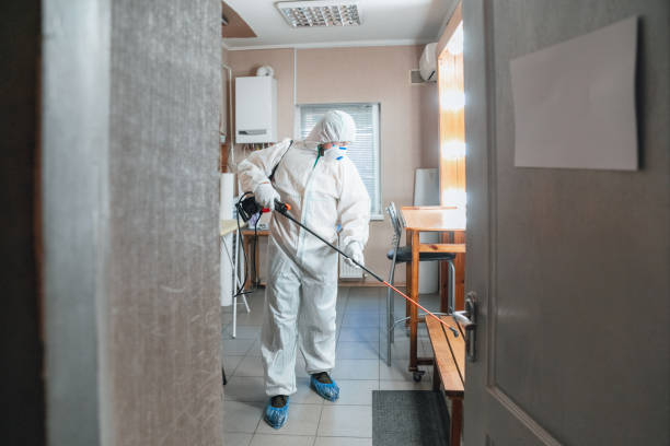 Asbestos and Lead Testing During Mold Inspection in Sunrise Beach Village, TX