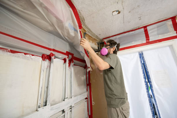 Best Mold Damage Restoration  in Sunrise Beach Village, TX